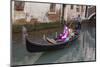 Venice at Carnival Time, Italy-Darrell Gulin-Mounted Photographic Print