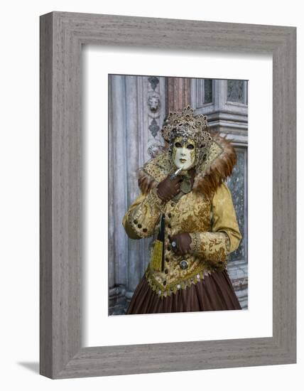 Venice at Carnival Time, Italy-Darrell Gulin-Framed Photographic Print