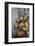 Venice at Carnival Time, Italy-Darrell Gulin-Framed Photographic Print