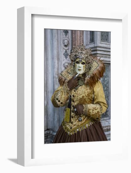 Venice at Carnival Time, Italy-Darrell Gulin-Framed Photographic Print