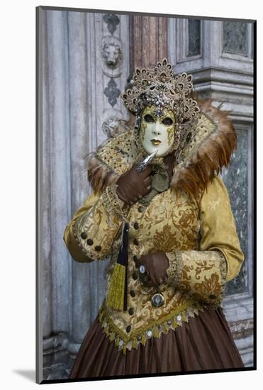 Venice at Carnival Time, Italy-Darrell Gulin-Mounted Photographic Print