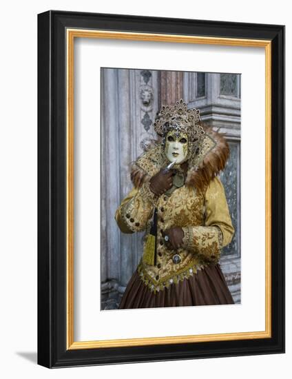 Venice at Carnival Time, Italy-Darrell Gulin-Framed Photographic Print