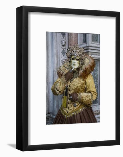 Venice at Carnival Time, Italy-Darrell Gulin-Framed Photographic Print