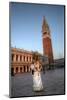 Venice at Carnival Time, Italy-Darrell Gulin-Mounted Photographic Print