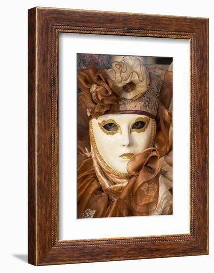 Venice at Carnival Time, Italy-Darrell Gulin-Framed Photographic Print