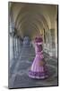 Venice at Carnival Time, Italy-Darrell Gulin-Mounted Photographic Print