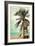Venice Beach, California - Lifeguard Shack and Palm-Lantern Press-Framed Premium Giclee Print