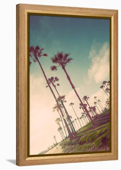 Venice Beach Fun-Emily Navas-Framed Stretched Canvas