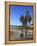 Venice Beach, Los Angeles, California, United States of America, North America-Wendy Connett-Framed Premier Image Canvas