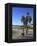Venice Beach, Los Angeles, California, United States of America, North America-Wendy Connett-Framed Premier Image Canvas