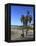 Venice Beach, Los Angeles, California, United States of America, North America-Wendy Connett-Framed Premier Image Canvas