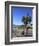 Venice Beach, Los Angeles, California, United States of America, North America-Wendy Connett-Framed Photographic Print