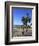 Venice Beach, Los Angeles, California, United States of America, North America-Wendy Connett-Framed Photographic Print