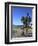 Venice Beach, Los Angeles, California, United States of America, North America-Wendy Connett-Framed Photographic Print