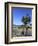 Venice Beach, Los Angeles, California, United States of America, North America-Wendy Connett-Framed Photographic Print