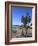 Venice Beach, Los Angeles, California, United States of America, North America-Wendy Connett-Framed Photographic Print