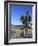 Venice Beach, Los Angeles, California, United States of America, North America-Wendy Connett-Framed Photographic Print