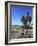 Venice Beach, Los Angeles, California, United States of America, North America-Wendy Connett-Framed Photographic Print