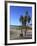 Venice Beach, Los Angeles, California, United States of America, North America-Wendy Connett-Framed Photographic Print