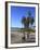 Venice Beach, Los Angeles, California, United States of America, North America-Wendy Connett-Framed Photographic Print