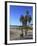 Venice Beach, Los Angeles, California, United States of America, North America-Wendy Connett-Framed Photographic Print