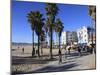 Venice Beach, Los Angeles, California, United States of America, North America-Wendy Connett-Mounted Photographic Print