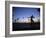 Venice Beach, Los Angeles, USA-Neil Farrin-Framed Photographic Print