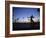 Venice Beach, Los Angeles, USA-Neil Farrin-Framed Photographic Print