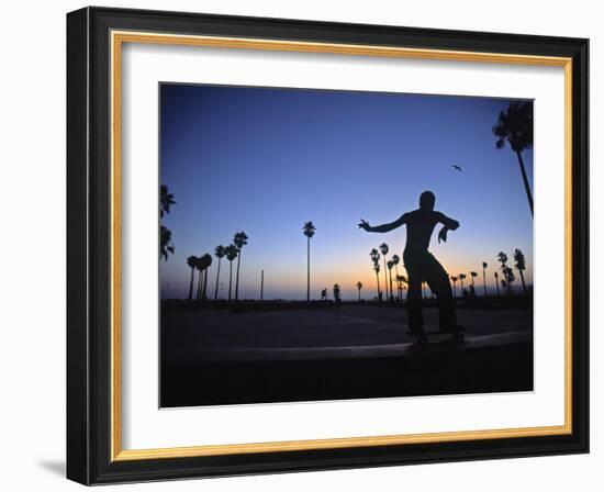 Venice Beach, Los Angeles, USA-Neil Farrin-Framed Photographic Print