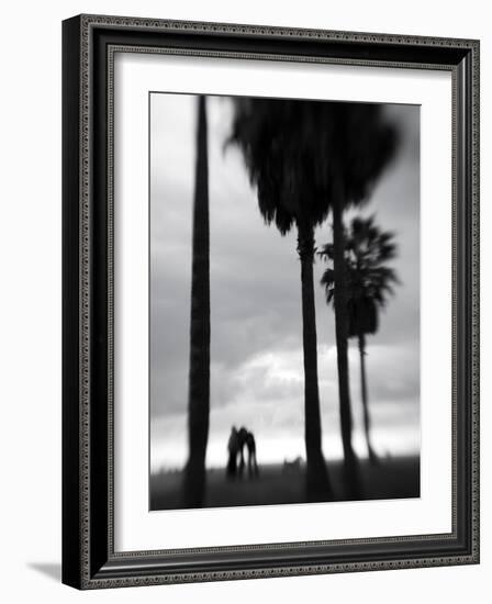 Venice Beach, Venice, Los Angeles, California, USA-Walter Bibikow-Framed Photographic Print