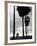 Venice Beach, Venice, Los Angeles, California, USA-Walter Bibikow-Framed Photographic Print