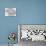 Venice Cats-Oxana Zaika-Mounted Giclee Print displayed on a wall