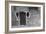 Venice Doorway B&W-Les Mumm-Framed Photographic Print