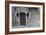 Venice Doorway B&W-Les Mumm-Framed Photographic Print