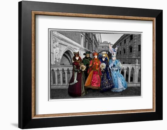 Venice, Italy. Mask and Costumes at Carnival-Darrell Gulin-Framed Photographic Print