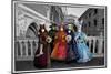 Venice, Italy. Mask and Costumes at Carnival-Darrell Gulin-Mounted Photographic Print