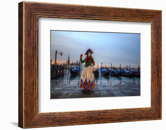 Venice, Italy. Mask and Costumes at Carnival-Darrell Gulin-Framed Photographic Print