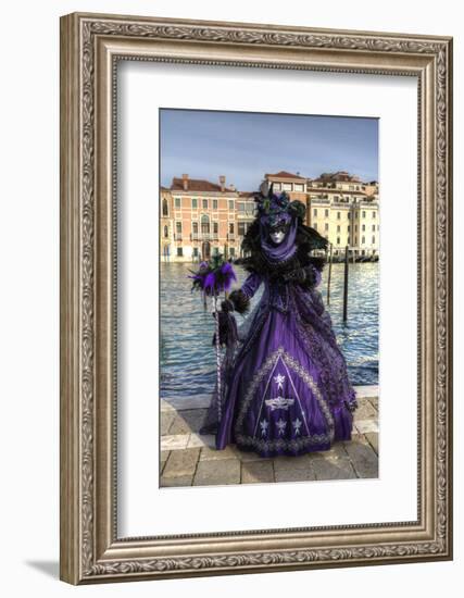 Venice, Italy. Mask and Costumes at Carnival-Darrell Gulin-Framed Photographic Print