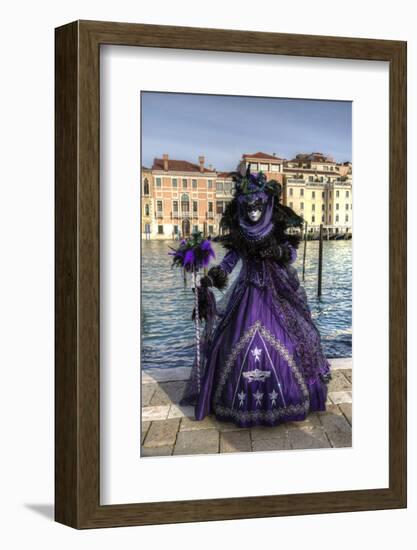 Venice, Italy. Mask and Costumes at Carnival-Darrell Gulin-Framed Photographic Print