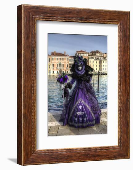 Venice, Italy. Mask and Costumes at Carnival-Darrell Gulin-Framed Photographic Print