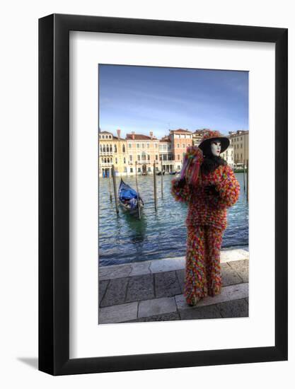 Venice, Italy. Mask and Costumes at Carnival-Darrell Gulin-Framed Photographic Print