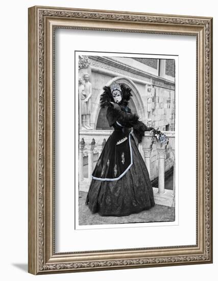 Venice, Italy. Mask and Costumes at Carnival-Darrell Gulin-Framed Photographic Print