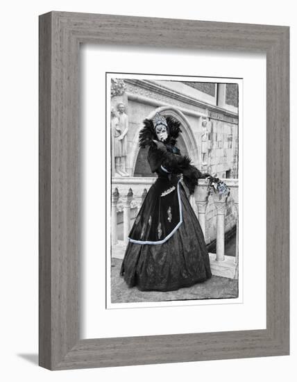 Venice, Italy. Mask and Costumes at Carnival-Darrell Gulin-Framed Photographic Print