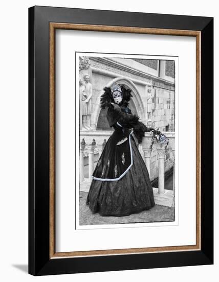 Venice, Italy. Mask and Costumes at Carnival-Darrell Gulin-Framed Photographic Print