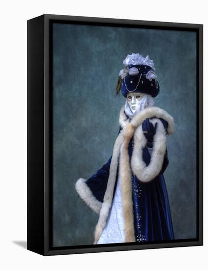 Venice, Italy. Mask and Costumes at Carnival-Darrell Gulin-Framed Premier Image Canvas