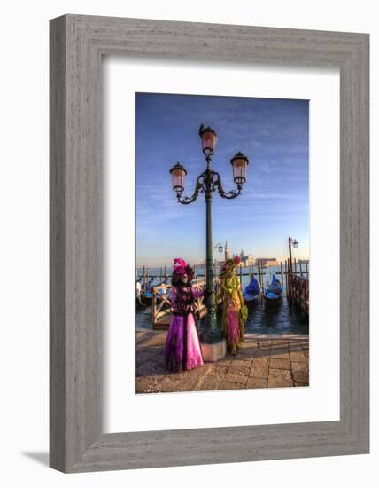 Venice, Italy. Mask and Costumes at Carnival-Darrell Gulin-Framed Photographic Print