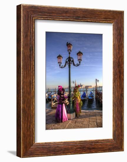 Venice, Italy. Mask and Costumes at Carnival-Darrell Gulin-Framed Photographic Print