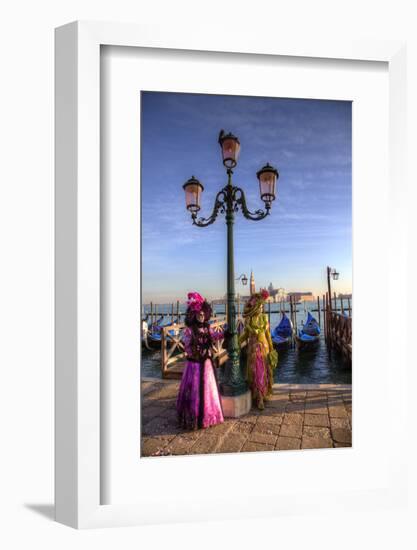 Venice, Italy. Mask and Costumes at Carnival-Darrell Gulin-Framed Photographic Print