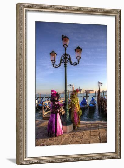 Venice, Italy. Mask and Costumes at Carnival-Darrell Gulin-Framed Photographic Print