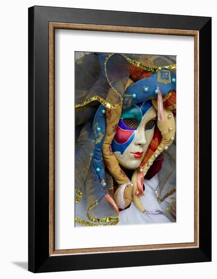 Venice, Italy. Mask and Costumes at Carnival-Darrell Gulin-Framed Photographic Print